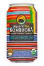 Aqua ViTea Kombucha Hibiscus Ginger Lime - Shelburne Country Store