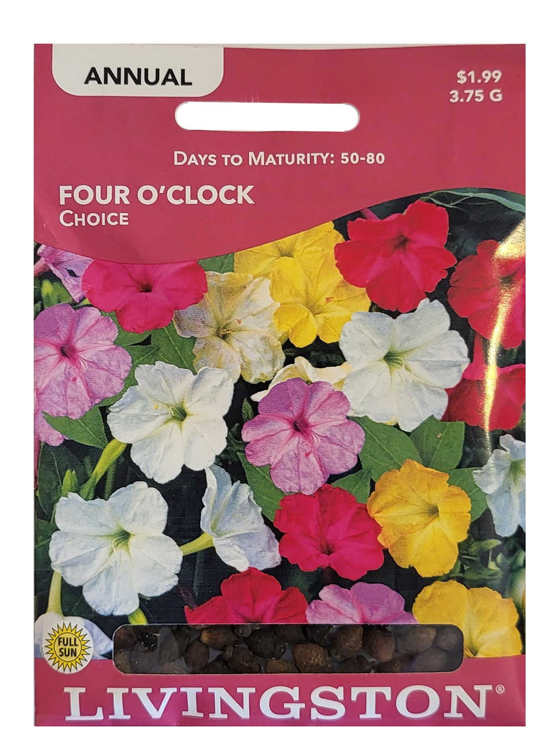 Seed Packet - Four O'Clock - Choice - Shelburne Country Store