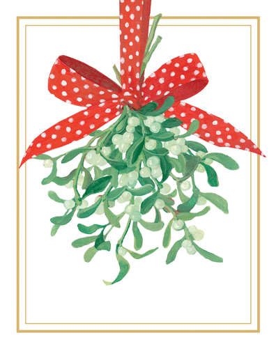Mistletoe And Ribbon Boxed Christmas Cards - Shelburne Country Store