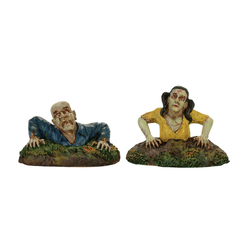 Rising From The Dead (set of 2) - Shelburne Country Store