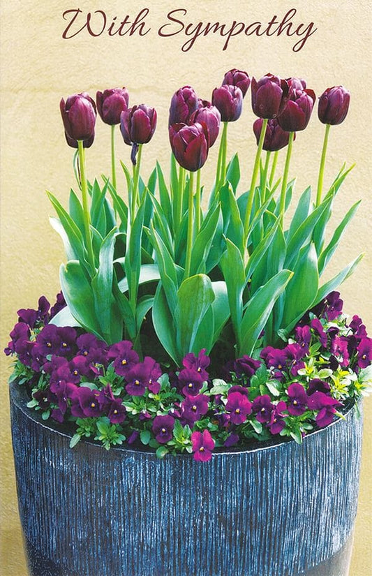Violet Tulip Planter - With Sympathy - Shelburne Country Store
