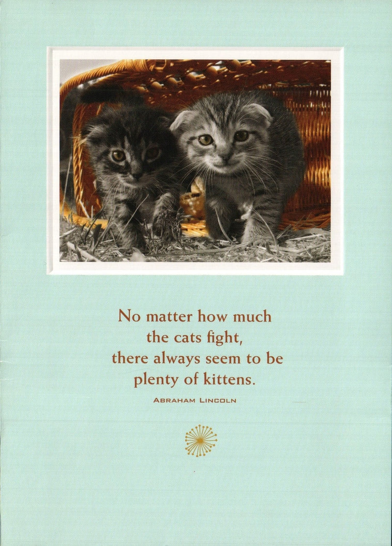 Anniversary Card - Kittens - Shelburne Country Store