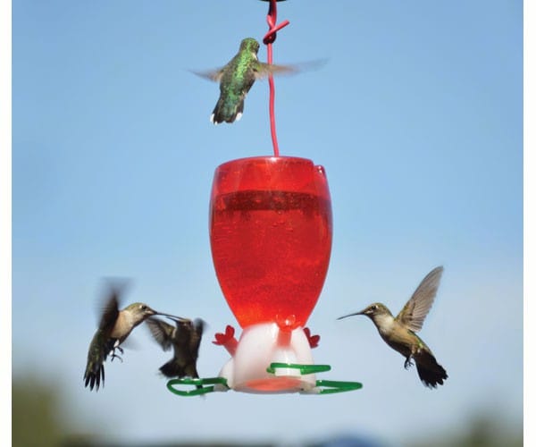 Big Red Hummingbird Feeder - Shelburne Country Store