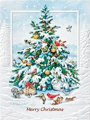 The Animals Tree Petite Boxed Cards - Shelburne Country Store