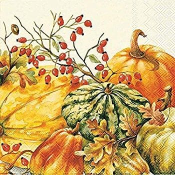 Ideal Home Calabaza Cream - Lunch Napkin - Shelburne Country Store