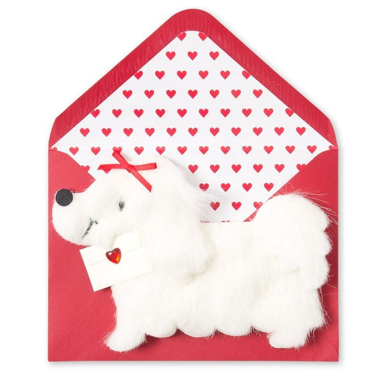 Cute Furry Dog With Letter Valentine Card - Shelburne Country Store