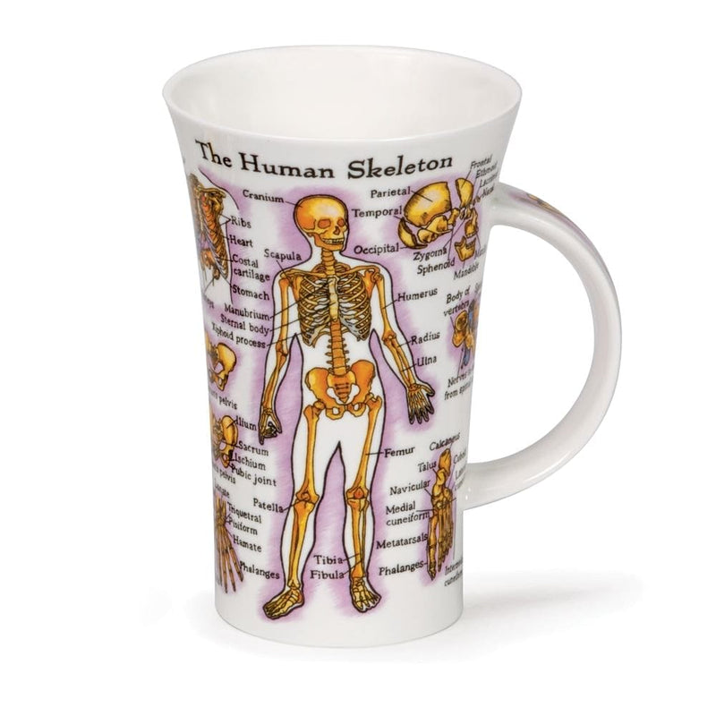 Dunoon Human Body Skeleton Fine Bone China Mug Glencoe Style - Shelburne Country Store
