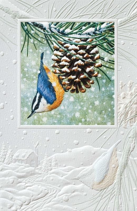 Hanging Around  Holiday Boxed Cards - Shelburne Country Store