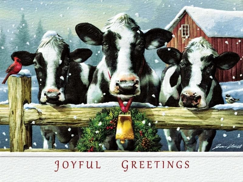 Holstein Hello  Petite Boxed Cards - Shelburne Country Store