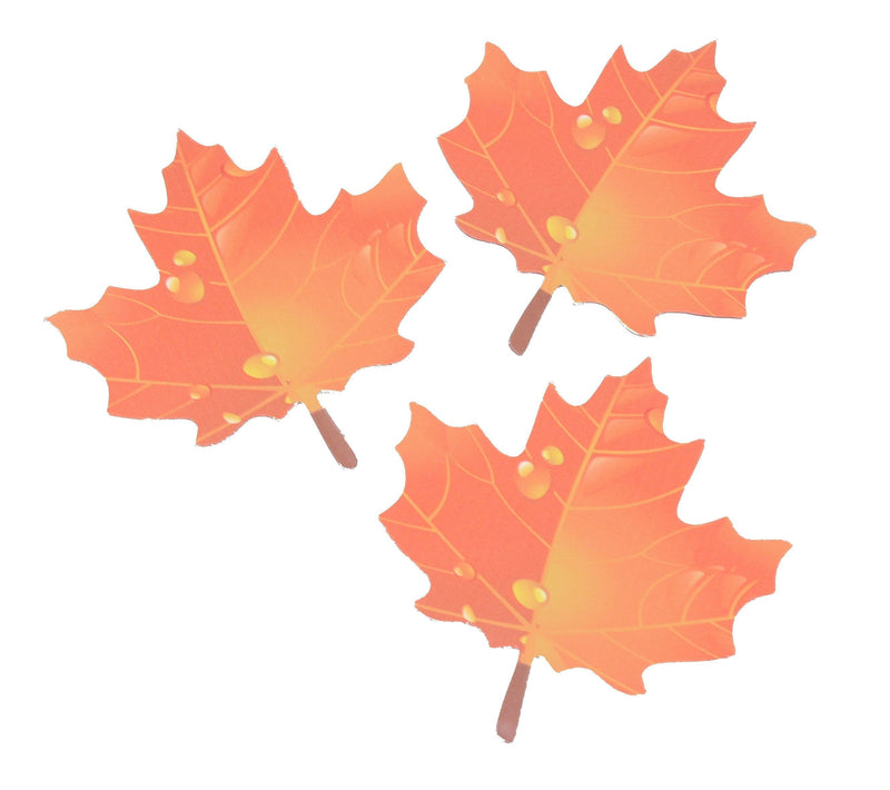 Collection of Orange Maple Leaves Magnet - Shelburne Country Store