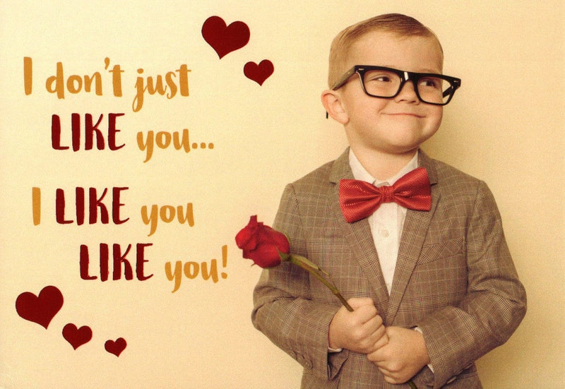 I Like You Like You Valentine's Day Card - Shelburne Country Store