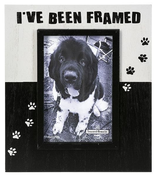 I've Been Framed - Pet Frames - Shelburne Country Store