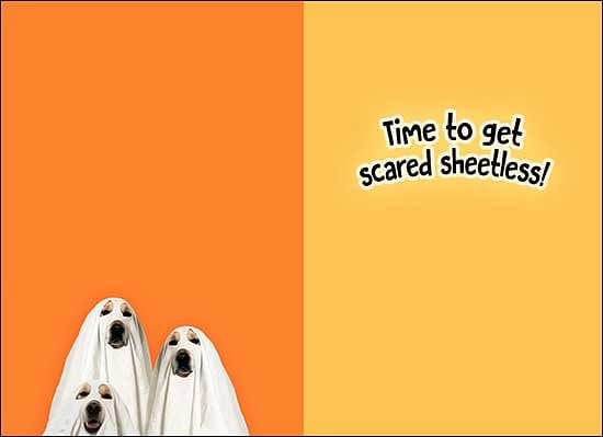 Scared Sheetless Halloween Card - Shelburne Country Store