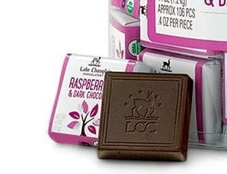 Raspberries & Dark Chocolate Organic Squares - Shelburne Country Store