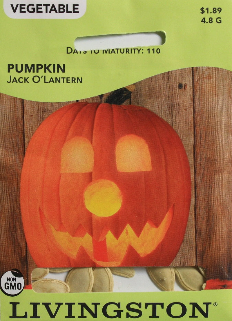 2021 Seed Packet - Pumpkin - Jack O'Lantern - Shelburne Country Store