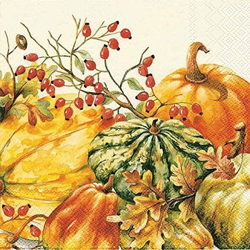 Ideal Home Calabaza Cream - Lunch Napkin - Shelburne Country Store