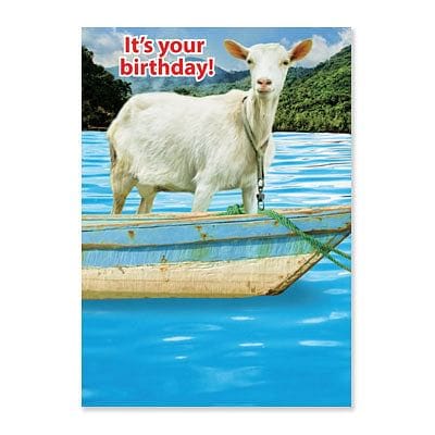 Goat In Boat Birthday Card - Shelburne Country Store