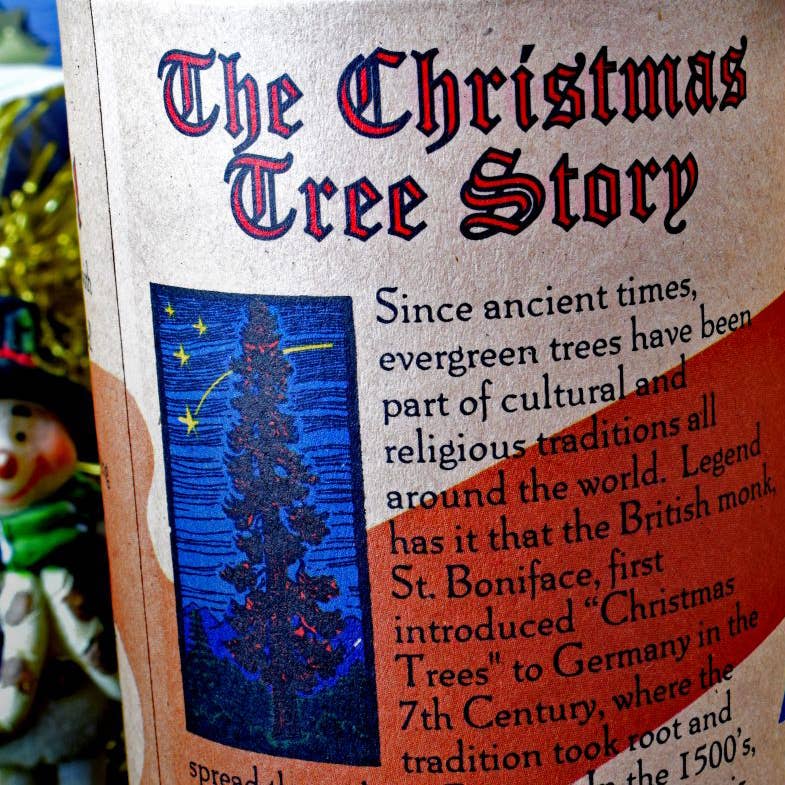 Living Christmas Tree | Seed Grow Kit - Balsam Fir - Shelburne Country Store