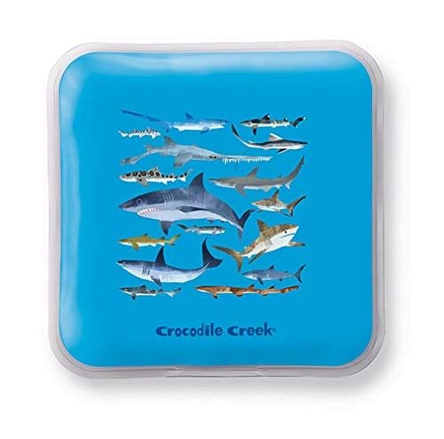 Lunch Box Ice Pack Set - Sharks - Shelburne Country Store