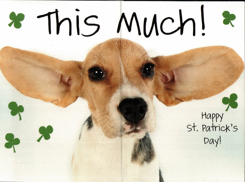 Beagle I Love You St. Patrick's Day Card - Shelburne Country Store