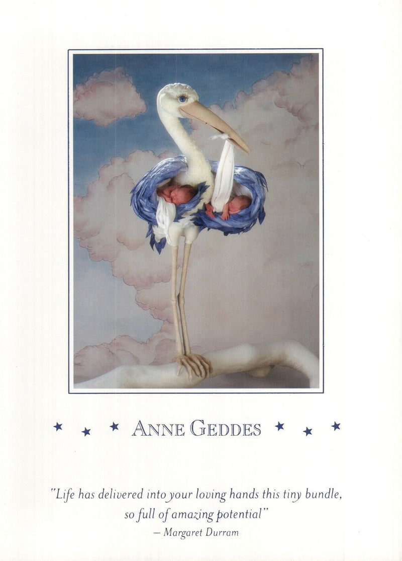 Anne Geddes Stork Card - Shelburne Country Store