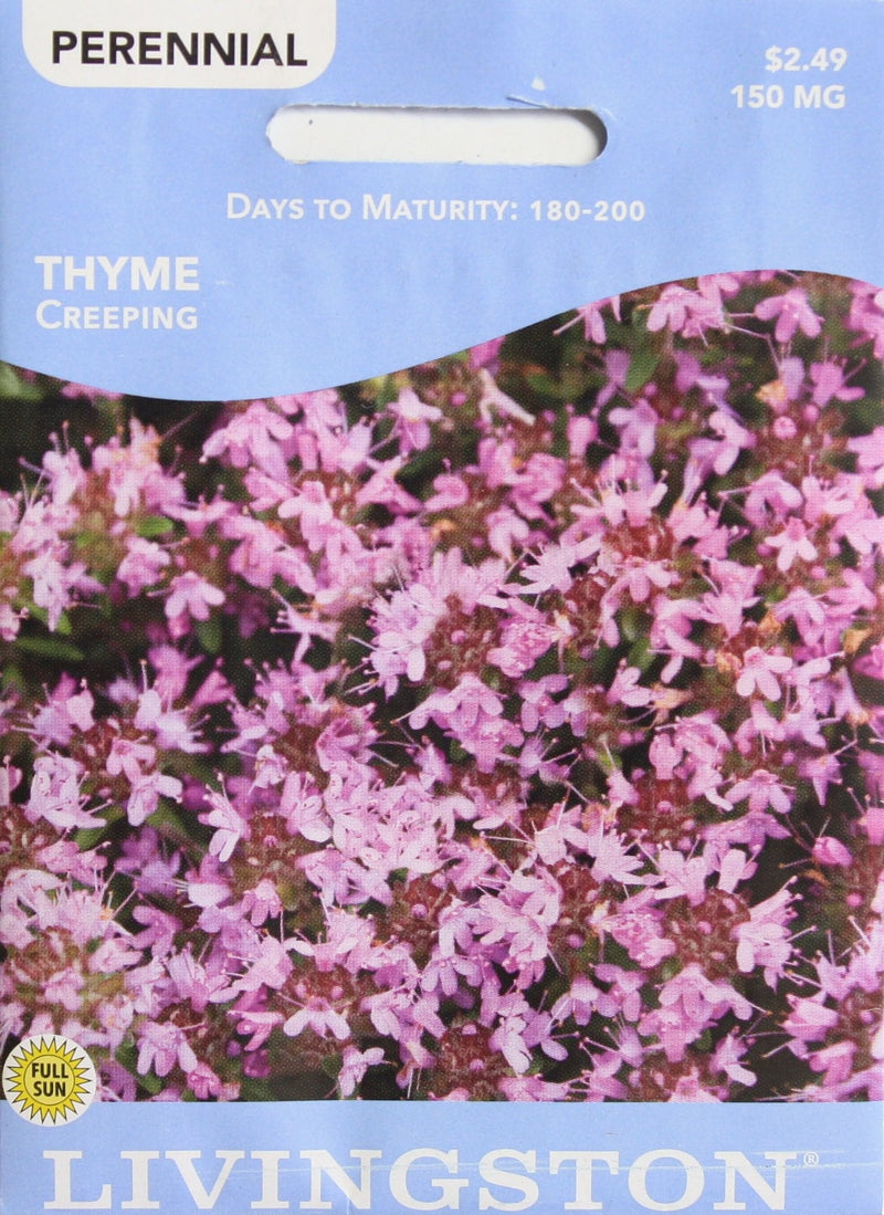 2021 Seed Packet - Thyme - Creeping - Shelburne Country Store