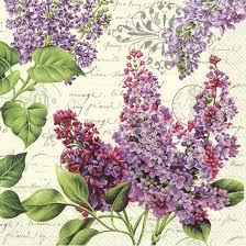 Ideal Home Range Lilac Letter - - Shelburne Country Store