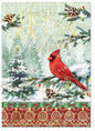 Joy Cardinal Boxed Card - Shelburne Country Store