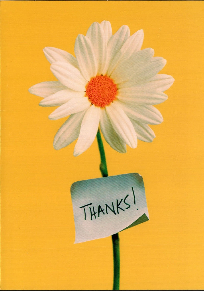 Thank You Card - Flower Note - Shelburne Country Store