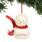 SnowPinions - Christmas Makes me Smile Ornament - Shelburne Country Store