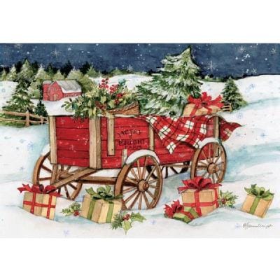 Snowy Delivery Petite Boxed Cards - Shelburne Country Store