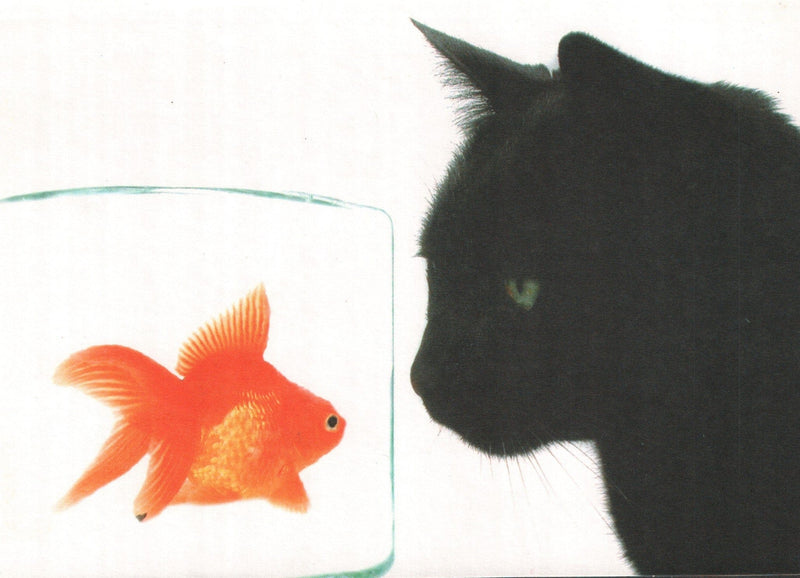 Birthday Card - Cat and Goldfish - Shelburne Country Store