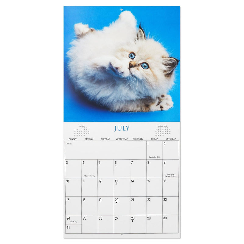 2022 Hallmark Wall Calendar - Cuddly Kittens - Shelburne Country Store