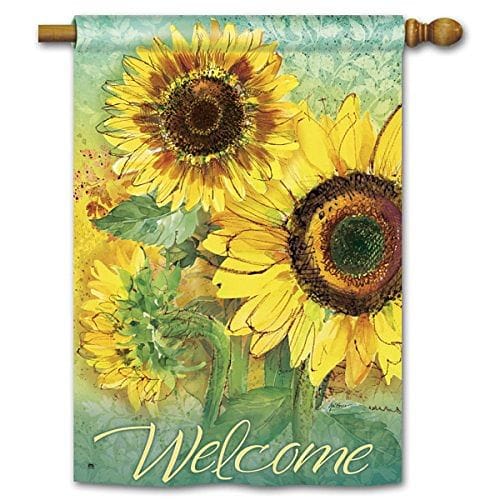 Sunny Days House Flag - 28 inch X 40" - Shelburne Country Store
