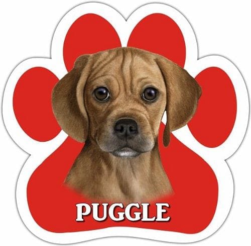 Puggle Magnet - Shelburne Country Store