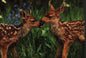 Twin Mule Deer Fawns Wildlife Photograph Card Blank - Shelburne Country Store