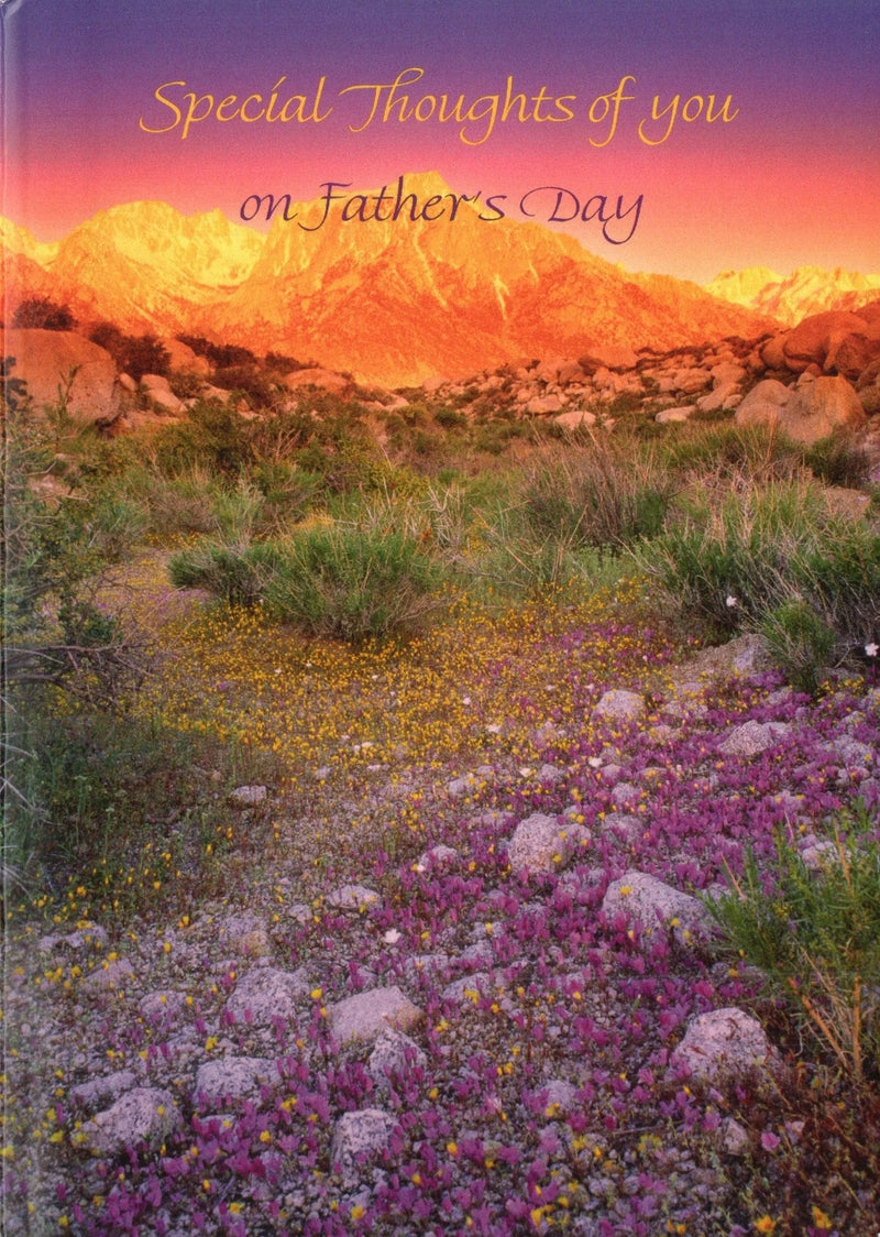 Special Thoughts Fathers Day Card - Shelburne Country Store