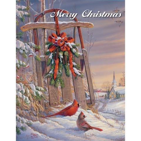 Wintertime Cardinal Boxed Cards - Shelburne Country Store