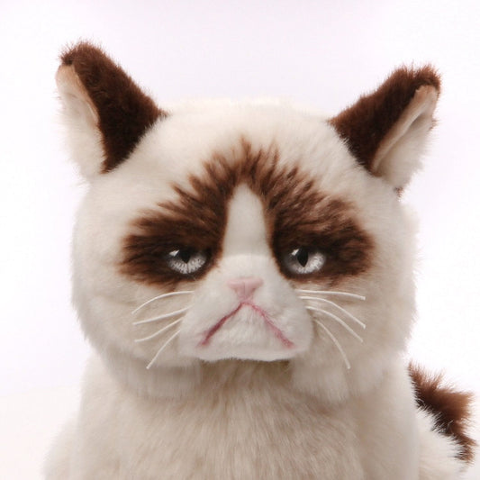 Grumpy Cat Stuffed Animal Plush, 9 inch - Shelburne Country Store