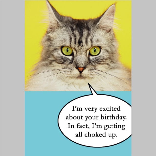 Choked Up Cat Birthday Card - Shelburne Country Store