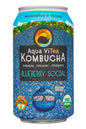 Aqua ViTea Kombucha Blueberry Social - Shelburne Country Store