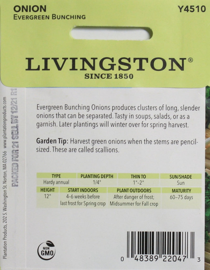 Seed Packet - Onion - Evergreen (Bunching) - Shelburne Country Store