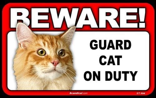 Beware Guard Cat On Duty Sign - - Shelburne Country Store