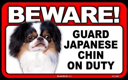 Beware Guard Dog On Duty Sign - - Shelburne Country Store
