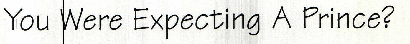 Frog Birthday Card - Shelburne Country Store