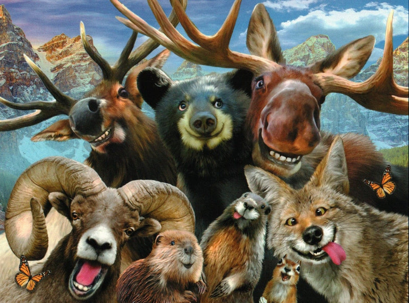 Funny Forest Animals Birthday Card - Shelburne Country Store