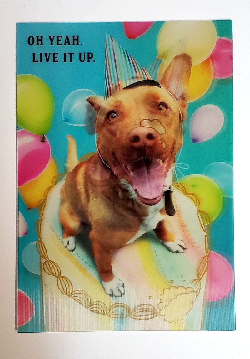 Oh Yeah Live It Up  5D Birthday Card - Shelburne Country Store