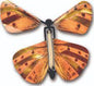 Wind up Australian Butterfly - - Shelburne Country Store