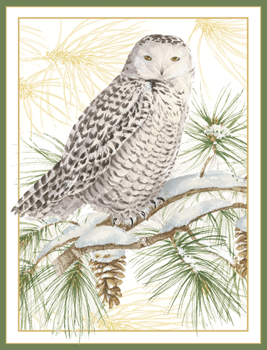 Snowy Owl Christmas Card - 16 Piece - Shelburne Country Store