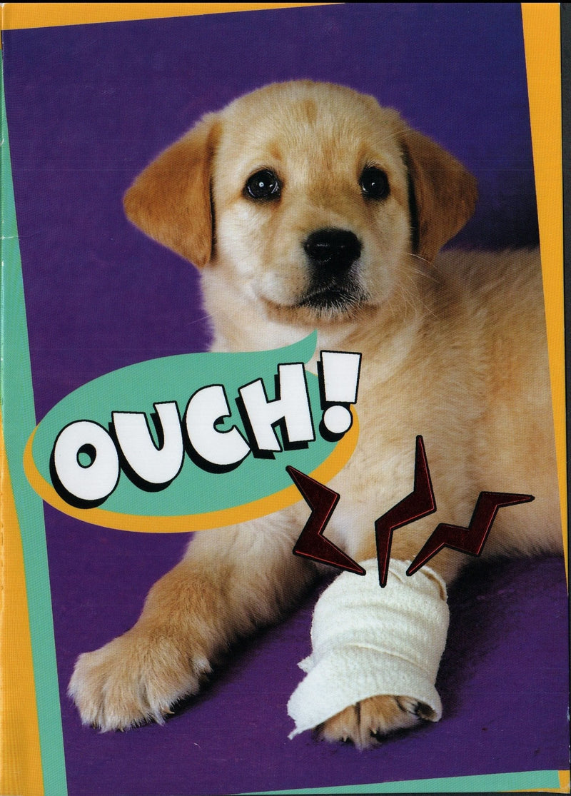 Puppy With a Cast Card - Shelburne Country Store
